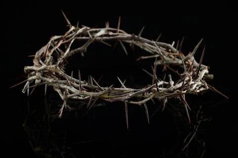Crown of thorns Stock Photos