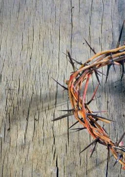 Crown of thorns Stock Photos