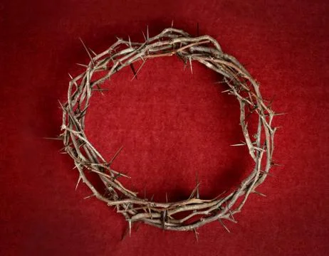 Crown of Thorns Foto stock