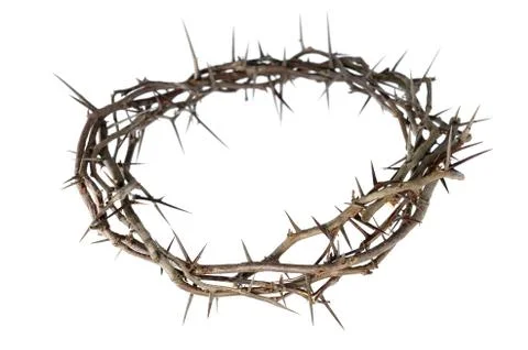 Crown of Thorns Stock Photos