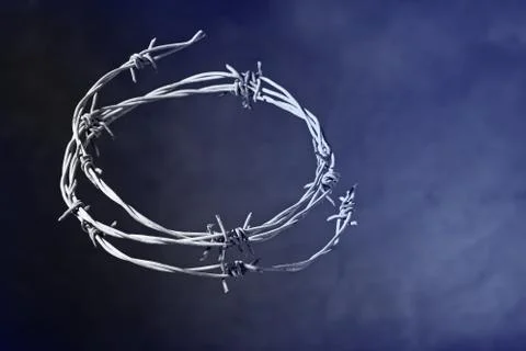 Crown of thorns Stock Photos