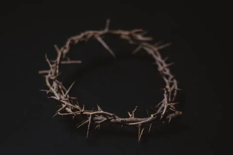 Crown of Thorns Foto stock