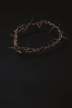 Crown of Thorns Foto stock