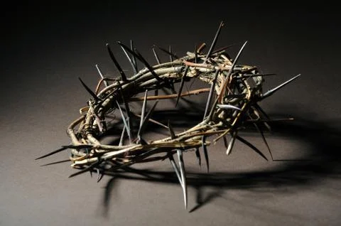 Crown of thorns Stock Photos