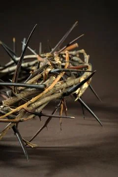 Crown of thorns Stock Photos