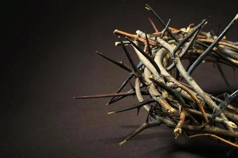 Crown of thorns Stock Photos