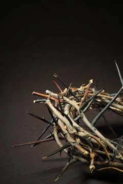 Crown of thorns Stock Photos