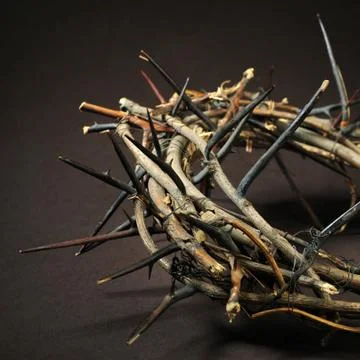 Crown of thorns Stock Photos