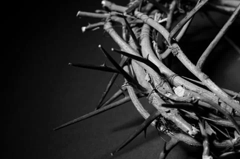 Crown of thorns Stock Photos