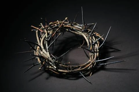 Crown of thorns Stock Photos