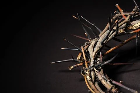 Crown of thorns Stock Photos