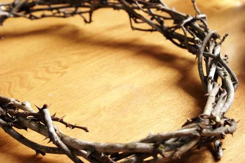 Crown Of Thorns Foto stock
