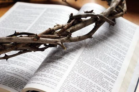 Crown Of Thorns Stock Photos