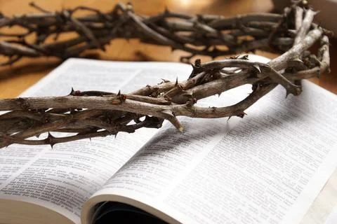 Crown Of Thorns Stock Photos