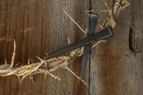 Crown of thorns with spikes Stock Photos