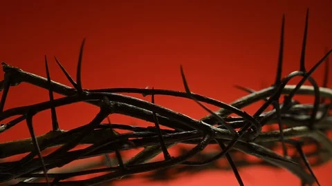 Crown of thorns spins on a red background close-up Stock Footage 123826878