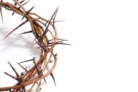 A crown of thorns on a white background - Easter. religion. Stock Photos