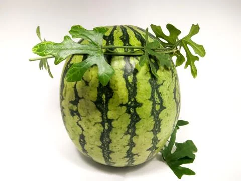 Crown on Watermelon Foto stock