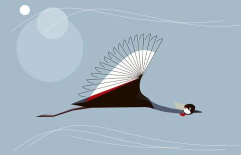 Crowned crane in flight Stock Illustration