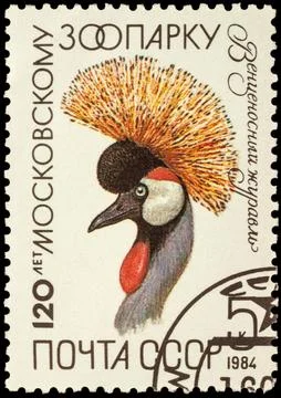Crowned crane on postage stamp Stock Photos