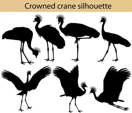 Crowned crane silhouette Stock Illustration