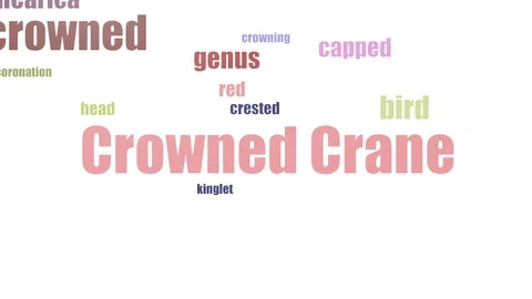 Crowned Crane Tag Cloud Animated Isolated On White Stock Footage 103096592