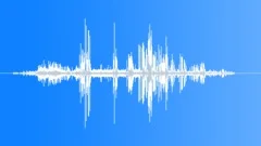 Crowned Sandgrouse Md CallsSound Effect