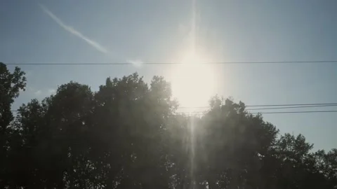 Crowns of trees along the road. Sunlight shines through the trees. Stock-Footage 149241582