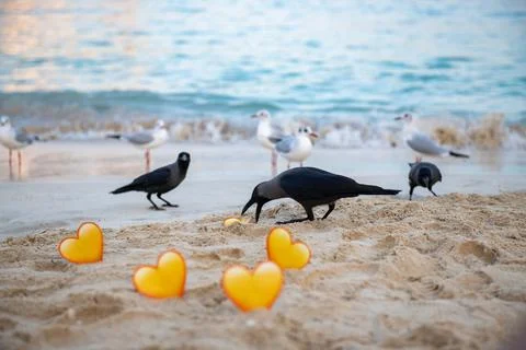 Crows and yellow hearts in the sand stand on the sea Stock Photos