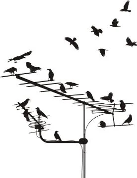 Crows on the antenna Illustrazione stock
