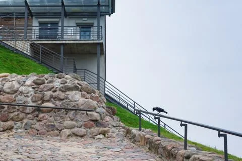 Crows in the city Stock Photos