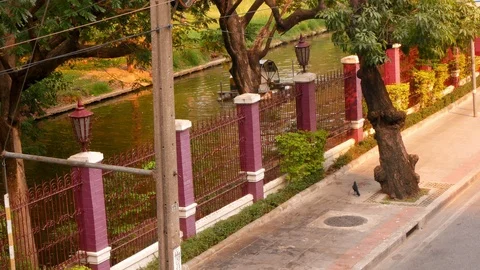 Crows. Crows are flying over a frozen lake Stock Footage 101417659