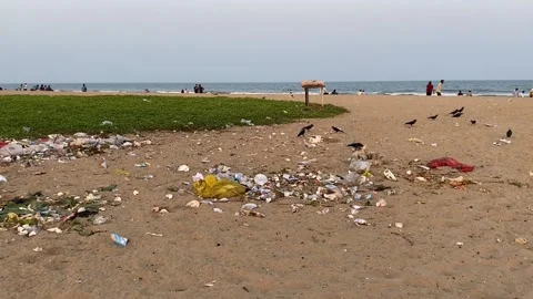 Crows on a dirty beach in Chennai Stock Footage 224892884