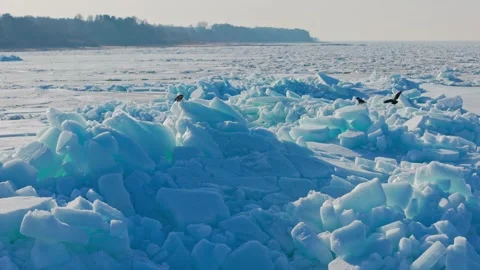 Crows Fly Over Baltic Sea Ice At Tuja Beach During Early Spring Thaw Stock Footage 340304216