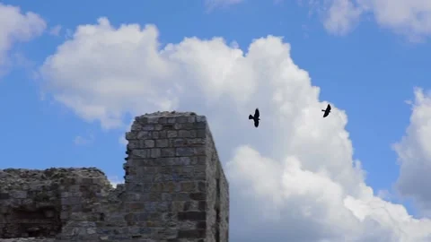 Crows fly over castle ruins Stock Footage 134697709