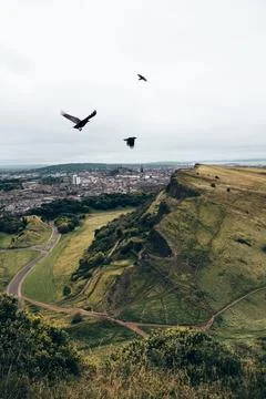Crows fly over hills Foto stock