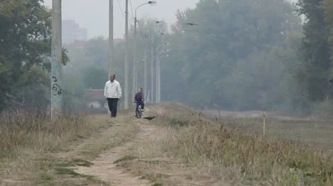 Crows flying away Stock Footage 12383148