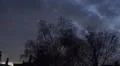 Crows flying away from tree while upcoming night HD Footage