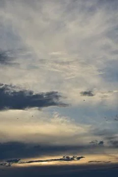 Crows flying on a blue cloudy sky Stock Photos