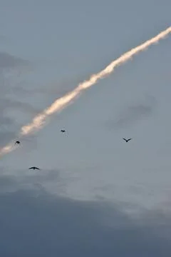 Crows flying on a blue cloudy sky Stock Photos