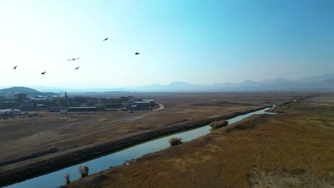 Crows flying in the blue sky 動画素材 292028922