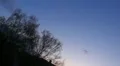 Crows flying to the City 190235 HD Footage