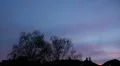 Crows flying to the City 191221crows HD Footage