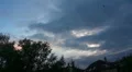 Crows flying to the city 20110714-201706 HD Footage