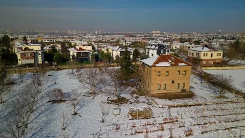 Crows flying in the forest on a winter day 動画素材 294206274