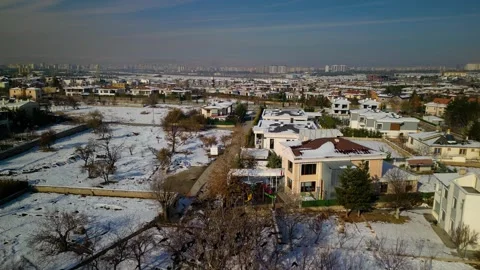 Crows flying in the forest on a winter day Stock Footage 294206649