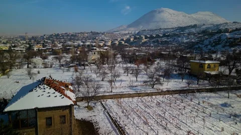 Crows flying in the forest on a winter day Stock Footage 294206714