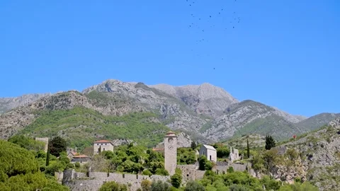 Crows flying over the Old Town of Bar in Montenegro Video stock 338076847