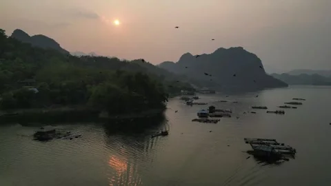 Crows Flying Round Over Coastal Seashore Waves Stock Footage 325330713