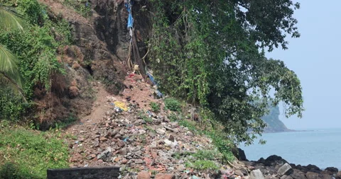 Crows on Garbage at Beach Stock Footage 320333287